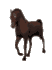 animaux_177.gif