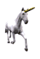animaux_179.gif