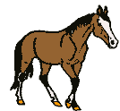 animaux_223.gif