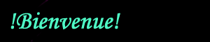 bienvenue2.gif