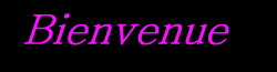 bienveue5.gif