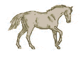 chevaux4.gif