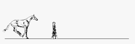 gif55.gif